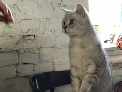 -不舍昼夜咖啡馆