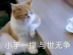 -芭比堂动物医院·犬猫全科·异宠专科(雁塔分院)