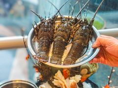 -亚马逊蒸汽活海鲜自助(LCM置汇旭辉广场店)