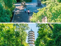 -灵谷景区