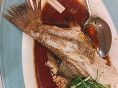 -峨嵋酒家(牡丹园店)