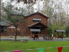 -合肥滨湖国家森林公园