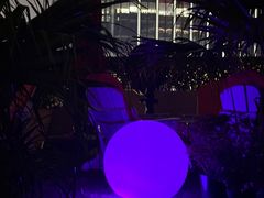 -Terrace 8 八号露台(波特曼丽思卡尔顿店)