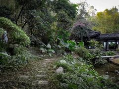 -深圳国际园林花卉博览园