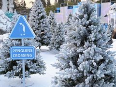 -汕头中海黄金海岸水上乐园