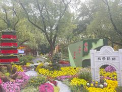 -惠山国家森林公园
