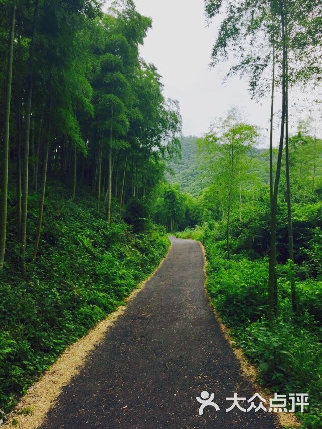 安吉银坑风景图片