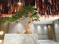 -青水瓦台汤泉(未央店)