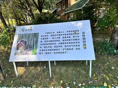 -林栖谷森林康养度假区