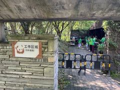 -都江堰中华大熊猫苑