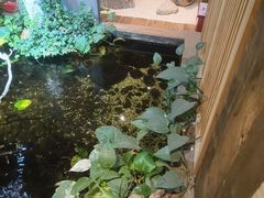 -邈墨茶馆(大兜路1号店)