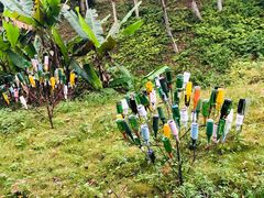 -韶关经律论国际酒店温泉