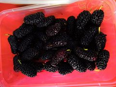 -老炳·七丛松甘草水果