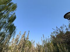 -元大都城垣遗址公园