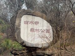 -白水寺森林公园