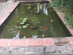 -德云居