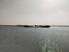 -苏州太湖湖滨国家湿地公园