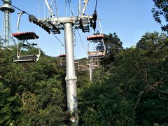 -青岛中山公园-索道售票处