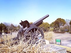 -上海吴淞炮台湾国家湿地公园