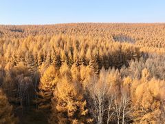 -塞罕坝国家级自然保护区