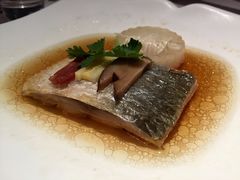 酒酿蒸鲥鱼-苏浙总会(国金中心店)