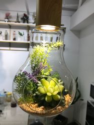 -杨丹国际美学肌研所