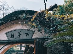 -绍兴鲁迅故里·沈园景区