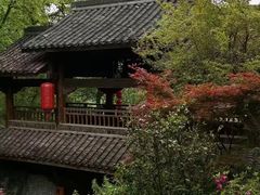 -中国茶叶博物馆(双峰馆区)