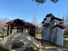 -苏州上方山国家森林公园