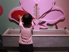 -厦门诚毅自然探索馆