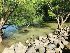 -宝安西湾红树林湿地公园