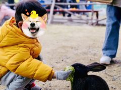 -菊园百果园