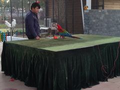 -合肥滨湖国家森林公园