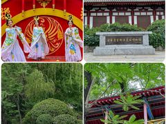 -华清宫景区