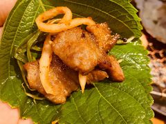 -农乐园炭火烤肉(世茂店)
