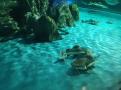-常州海昌海洋探索馆