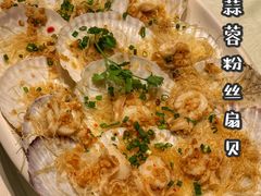蒜蓉粉丝扇贝-安蒂娅.悦景轩中餐厅(西乡店)