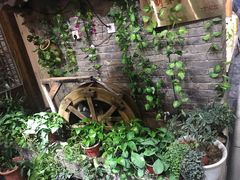 -孟家老厨(金域名城店)