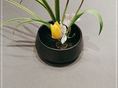-龙吟九品(青龙山庄店)