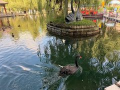 -水磨沟公园