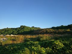 -洋山深水港