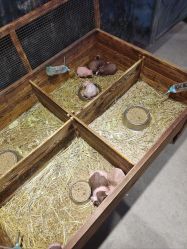 -酷嗒动物文化乐园(cutezoo西溪乐天城店)