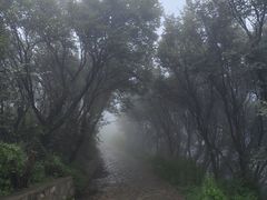 -妙峰山风景名胜区