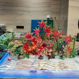 谁能解释一下这种现象？？？