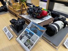 -Sony Store索尼(深圳深业上城店)