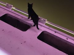 -南京眼步行桥