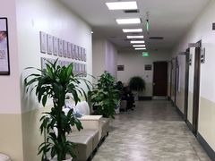 -美联众合动物医院·24h转诊中心