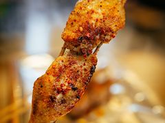 -晓靖轩烧烤(沙河风情店)