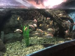 -苏州海洋馆