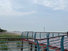 -上海吴淞炮台湾国家湿地公园